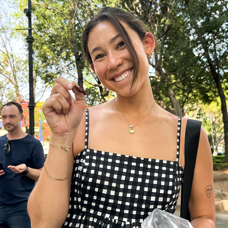 Caro and insect