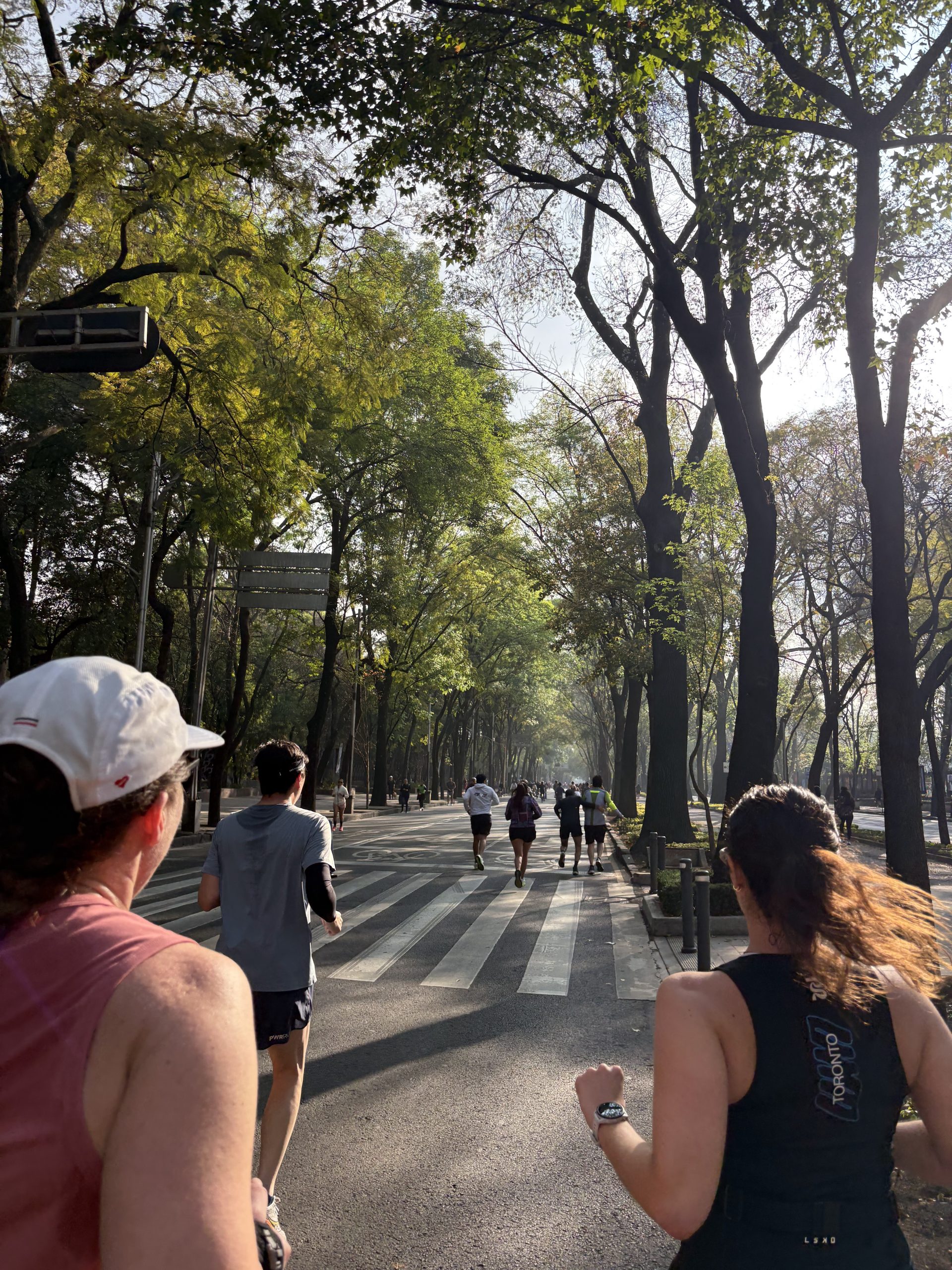 Run Reforma