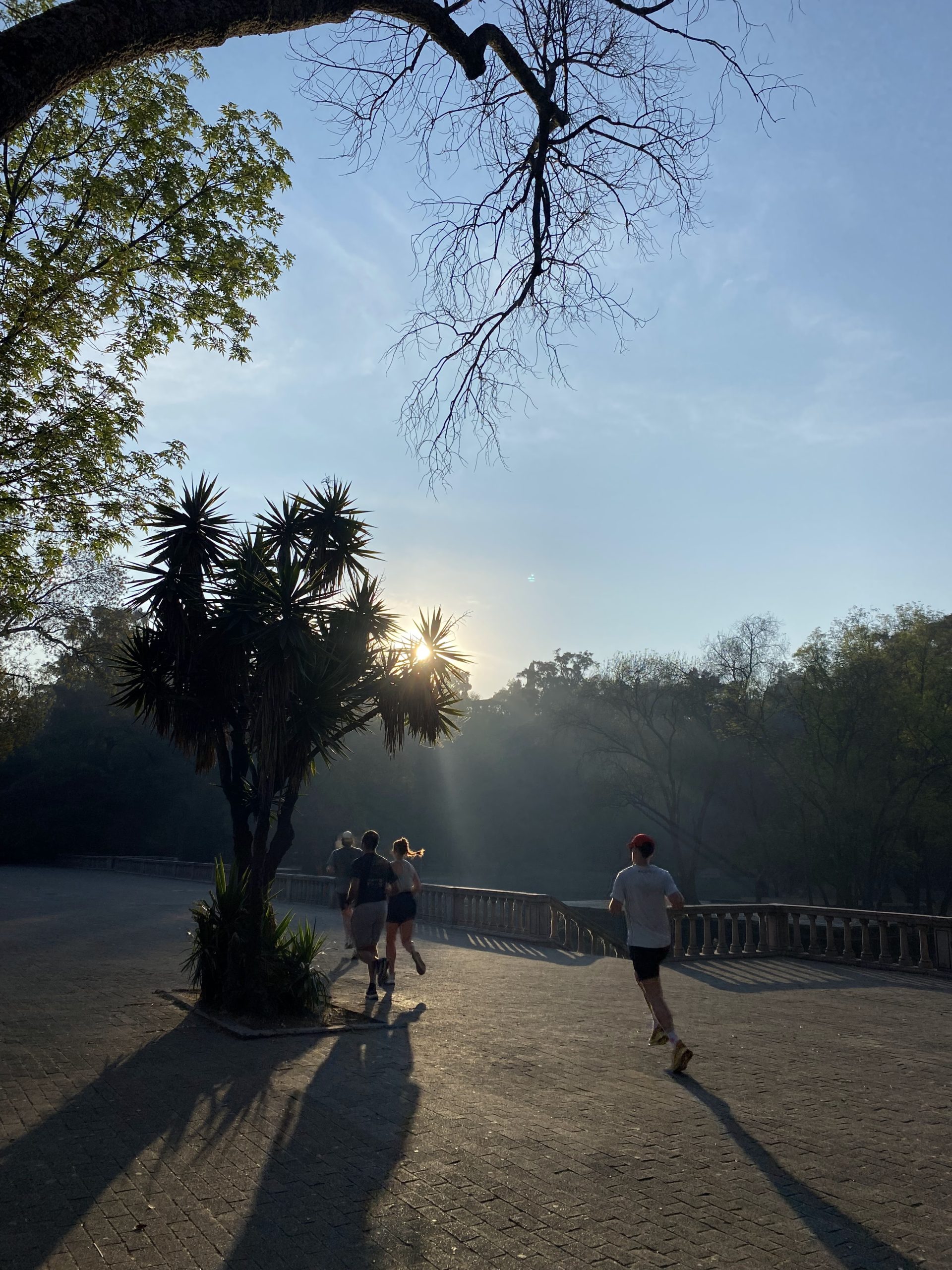 Running through the streets of Mexico City